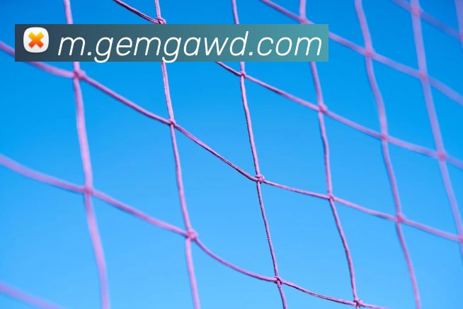 问鼎官网入口服务体系